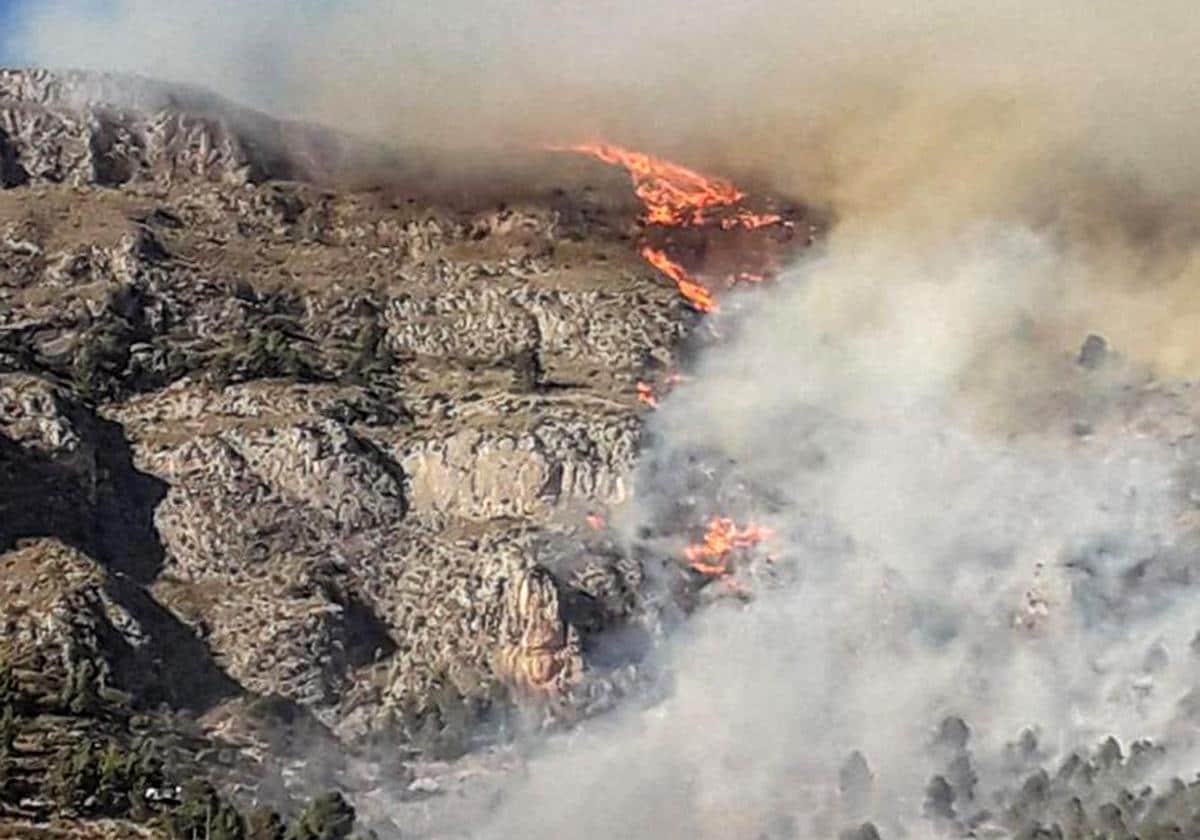Incendio forestal en Sella declarado este lunes.