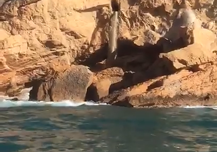 La cascada de aguas residuales sin tratar a la altura de la conocida como Punta Escaleta.