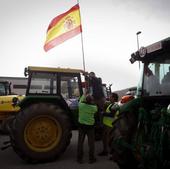 El campo alicantino toma las carreteras para defender su supervivencia