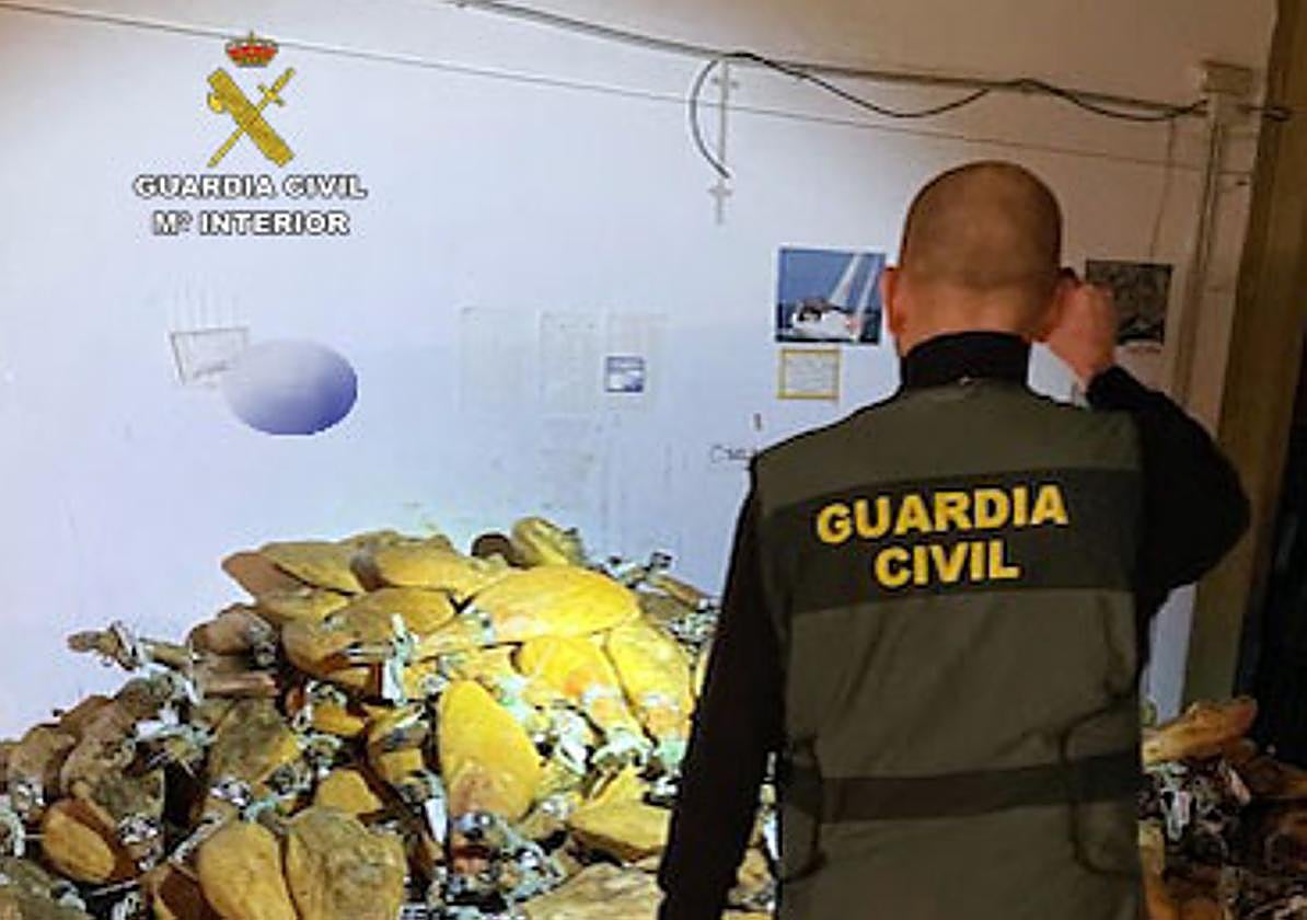 Recuperan en Benejúzar jamones, quesos y aceite valorados en 230.000 euros que habían sido sustraídos en Murcia