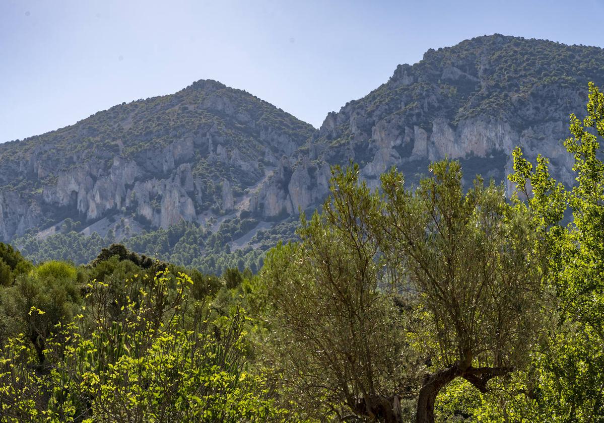 La Sellera vista desde Quatretondeta.