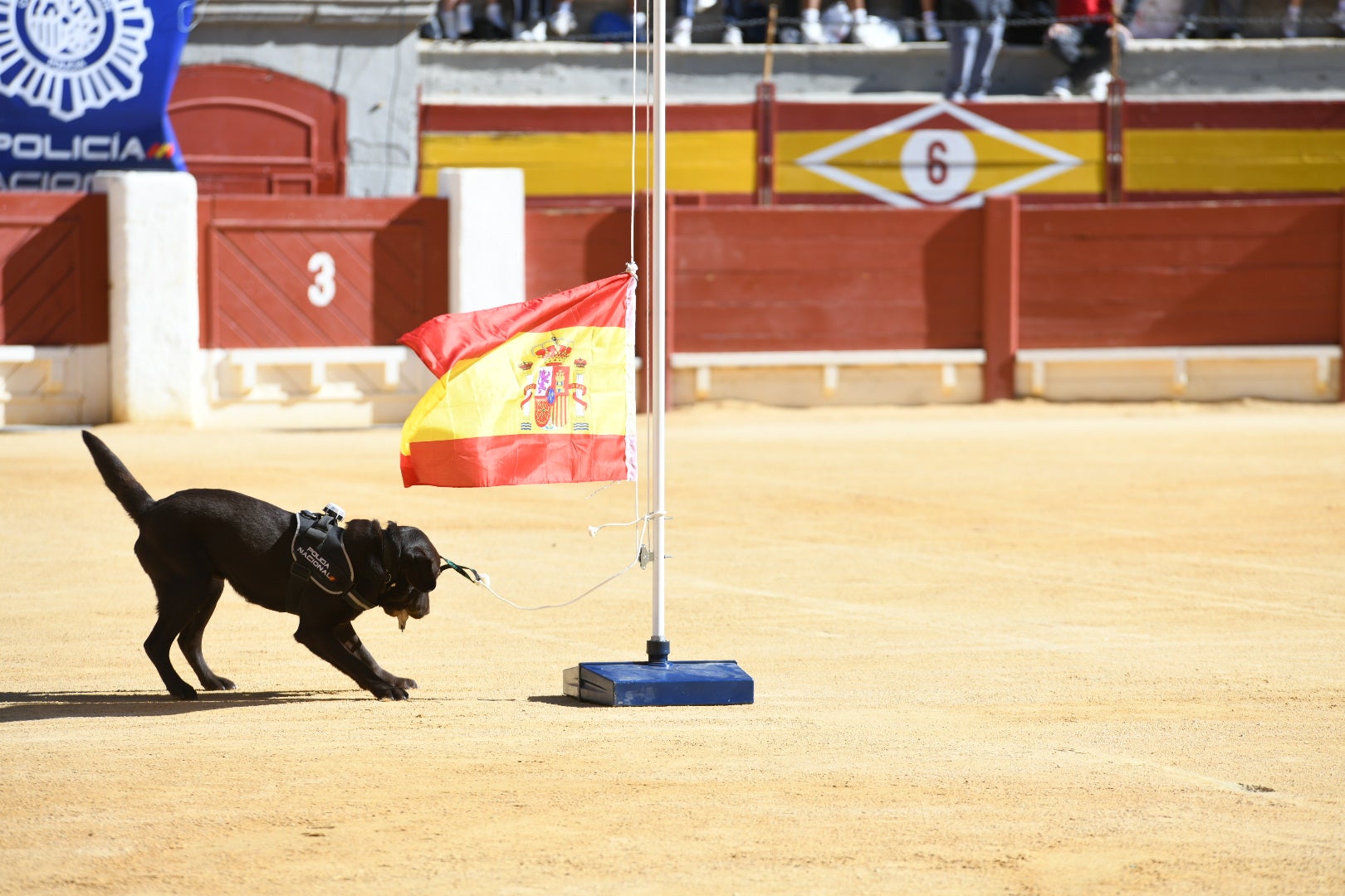 Imágenes de la espectacular exhibición de la Policía Nacional en Alicante