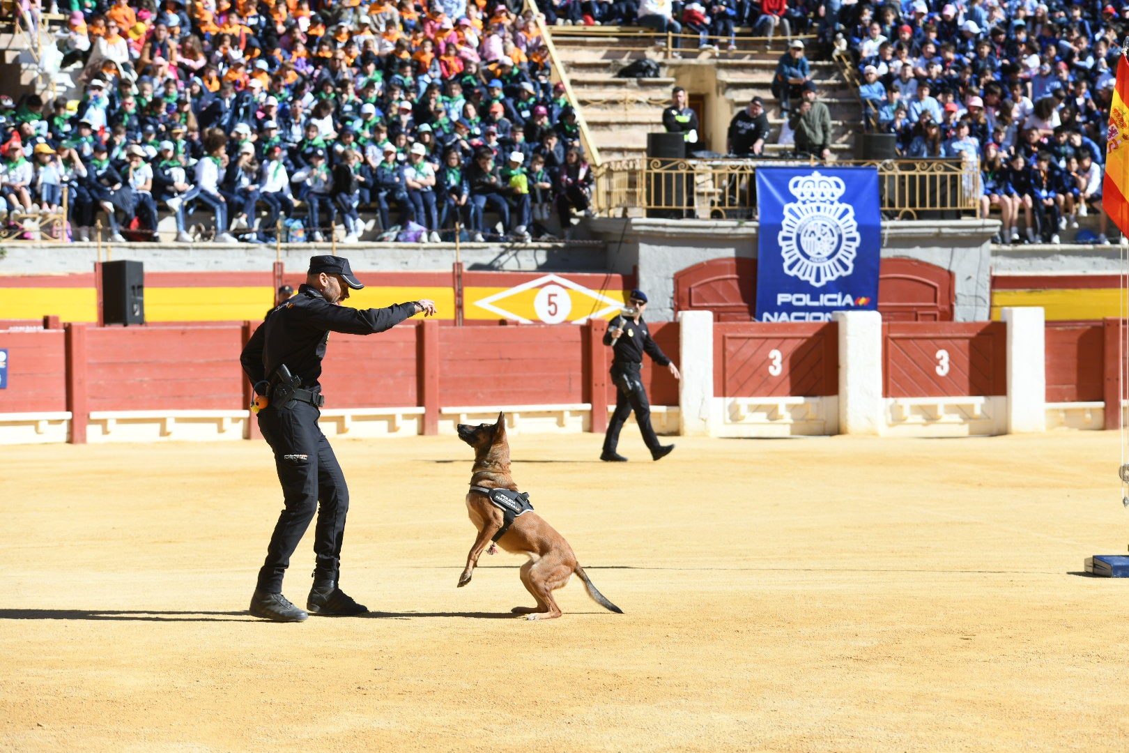 Imágenes de la espectacular exhibición de la Policía Nacional en Alicante