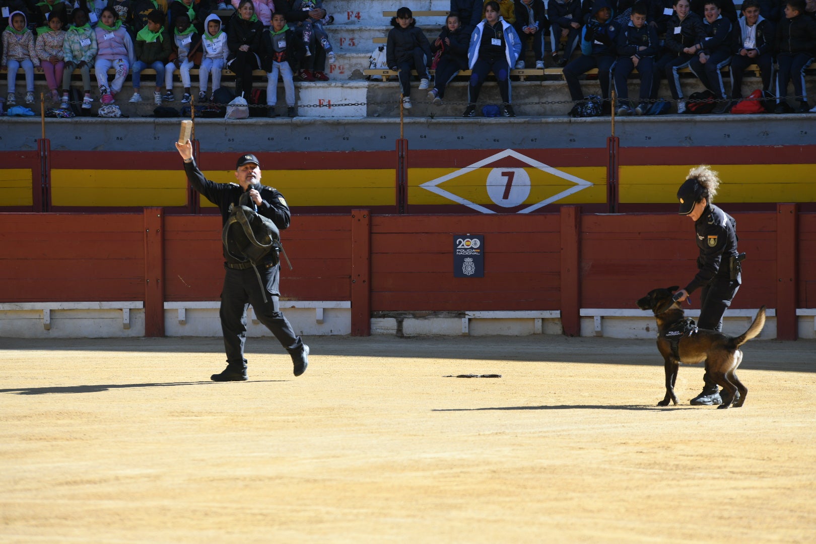 Imágenes de la espectacular exhibición de la Policía Nacional en Alicante