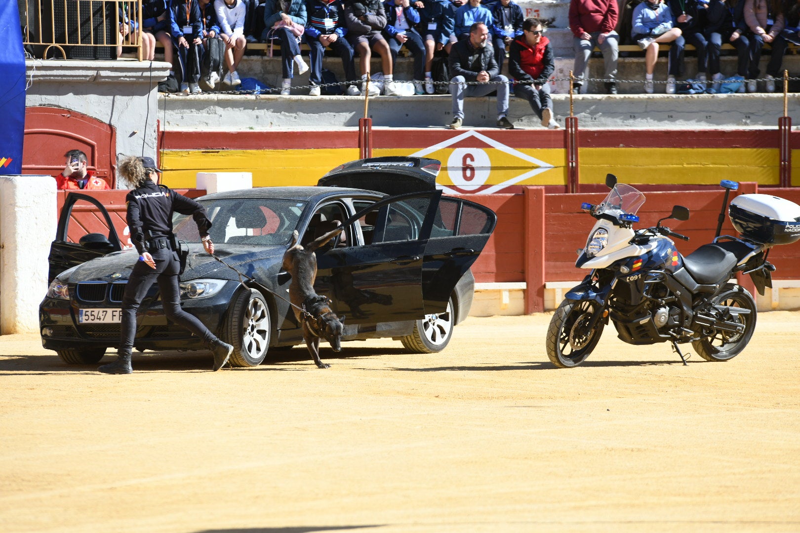 Imágenes de la espectacular exhibición de la Policía Nacional en Alicante