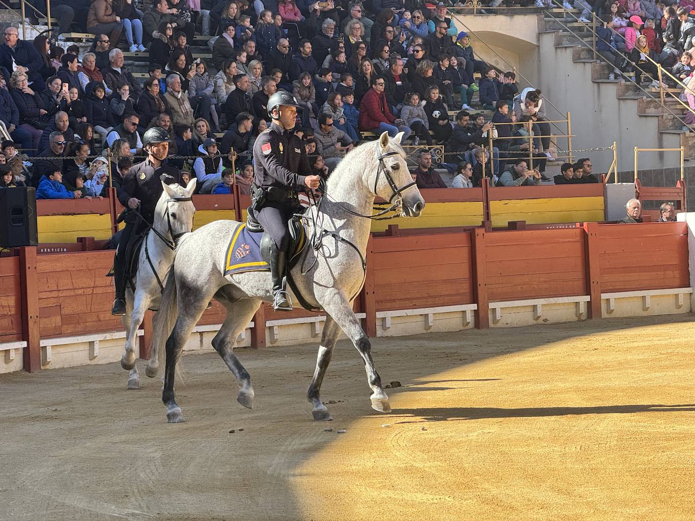 Imágenes de la espectacular exhibición de la Policía Nacional en Alicante