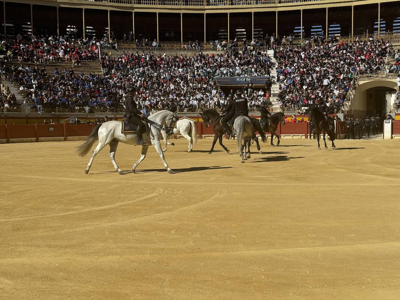 Imágenes de la espectacular exhibición de la Policía Nacional en Alicante