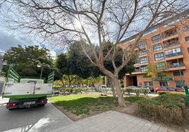 Los trabajos serán llevadas a cabo por los alumnos del Taller de Empleo de Jardinería.