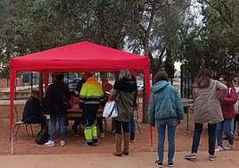 Familias votando por el cambio de jornada en un colegio de la Comunitat.