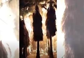 Incendio del palmeral de Torrevieja.