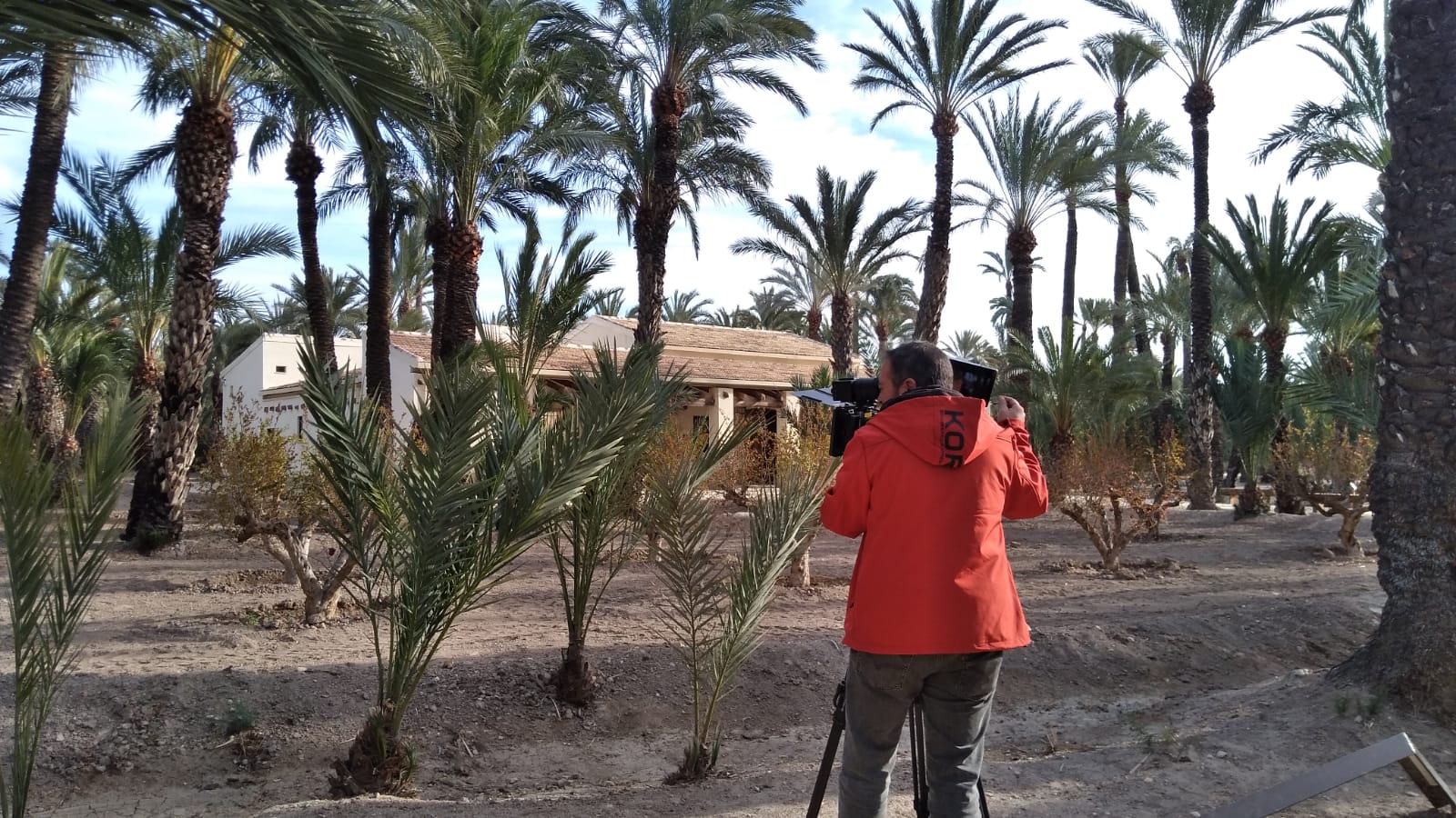 Uno de los rodajes en el Palmeral.