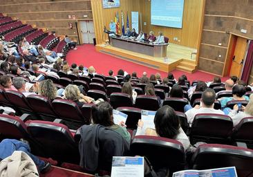 Dos proyectos sobre entrenamiento de equipos y diabetes, premiados en las jornadas de investigación en enfermería de Alicante