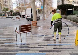 Imagen de una operaria de limpieza viaria en la avenida del Mediterráneo de Benidorm