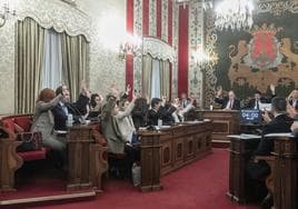 El grupo popular votta una iniciativa en el Pleno del Ayuntamiento de Alicante.