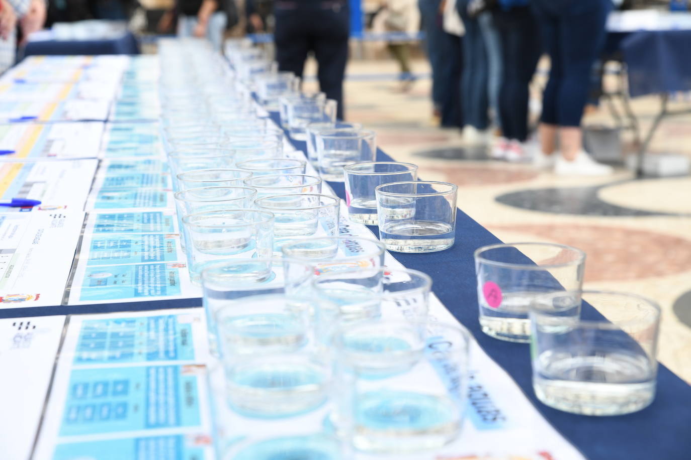 Las candidatas a Bellea del Foc realizan una cata de aguas a ciegas