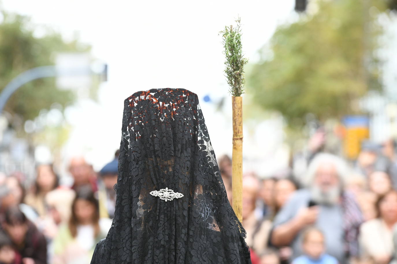 Palmas, ramas de olivo y los primeros pasos abren la carrera oficial de la Semana Santa alicantina