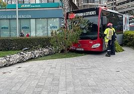 Choque del autobús contra la palmera.
