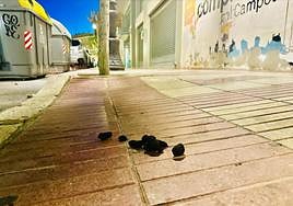 Cacas de perro en las calles de El Campello.