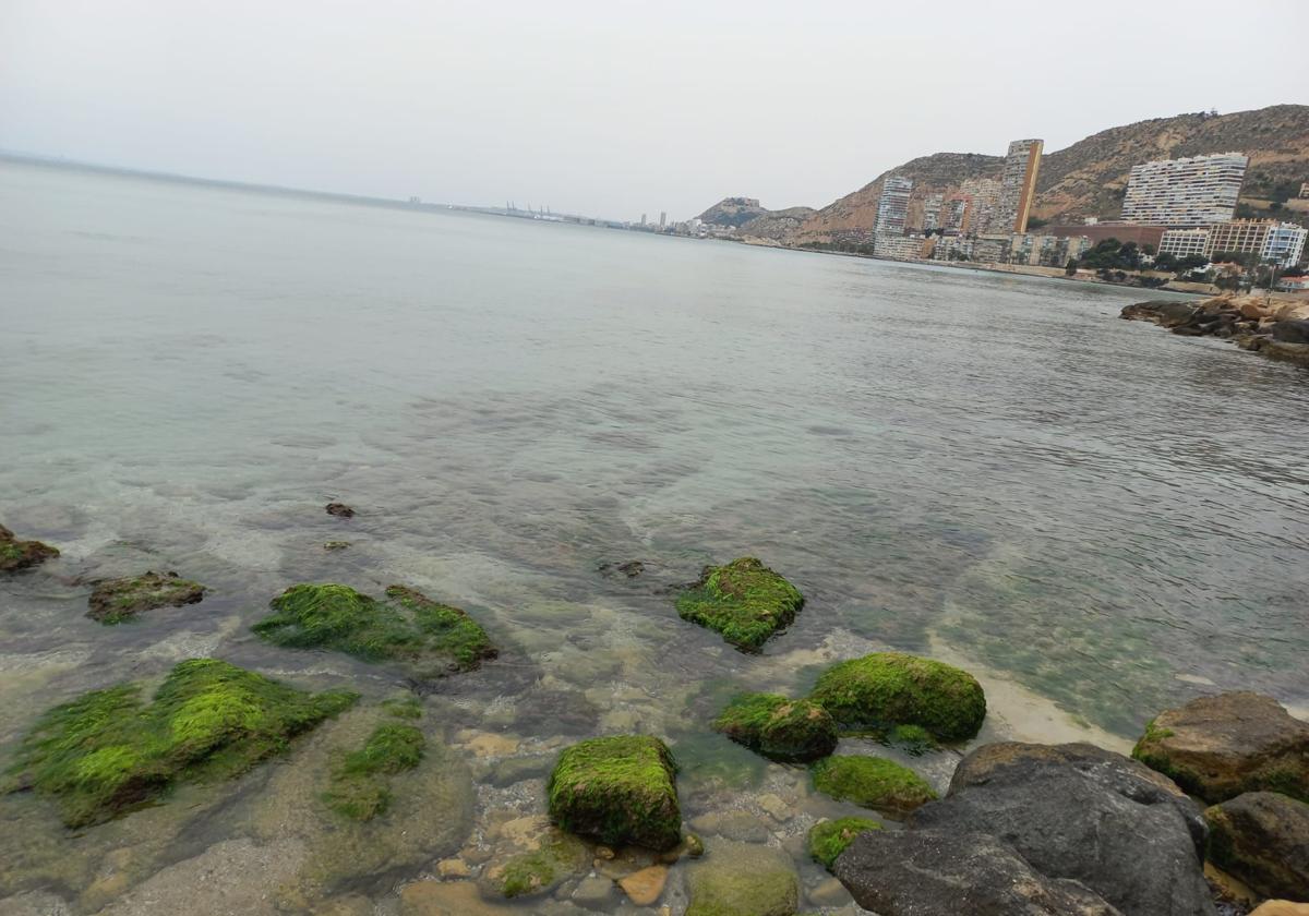 El Mediterráneo, por la tarde, a la altura de la Albufereta.