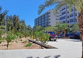 La parcela escogida por el Ayuntamiento.