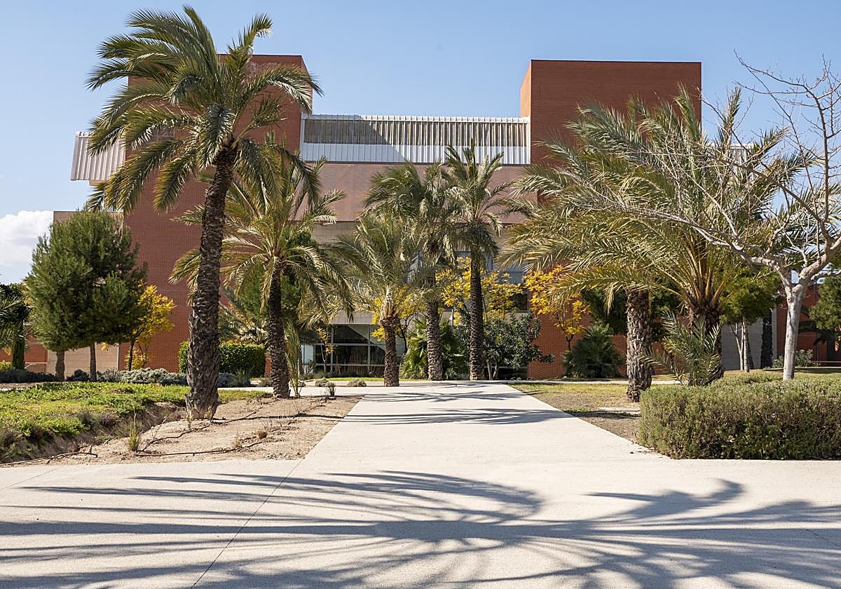 Universidad Miguel Hernández de Elche.