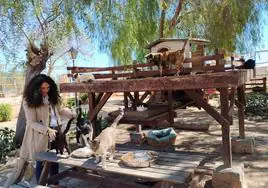 La concejala de Sanidad, Cristina Cutanda, junto a unos gatos en el albergue municipal.