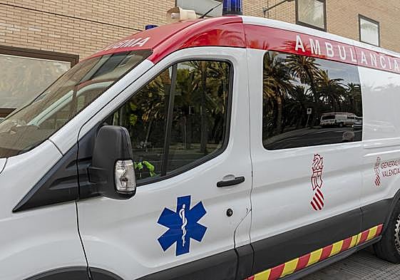 Emergencias desplazó una ambulancia hasta el lugar de los hechos en Crevillent.
