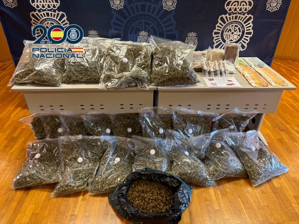 Parte de las plantas y bolsas incautadas por la Policía Nacional en la urbanización ilicitana.