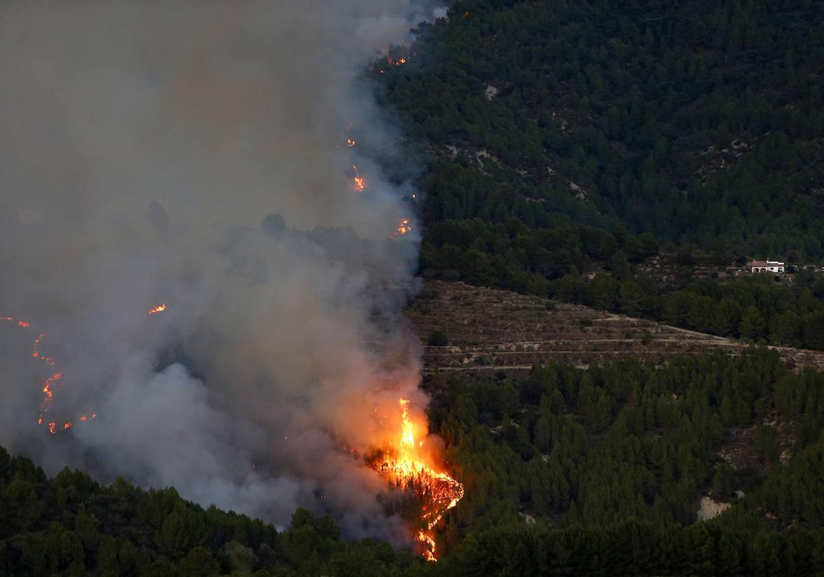 Incendio de Tárbena.