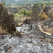 Las llamas dan paso a la desesperación: «Todo lo que tengo está en mi coche»