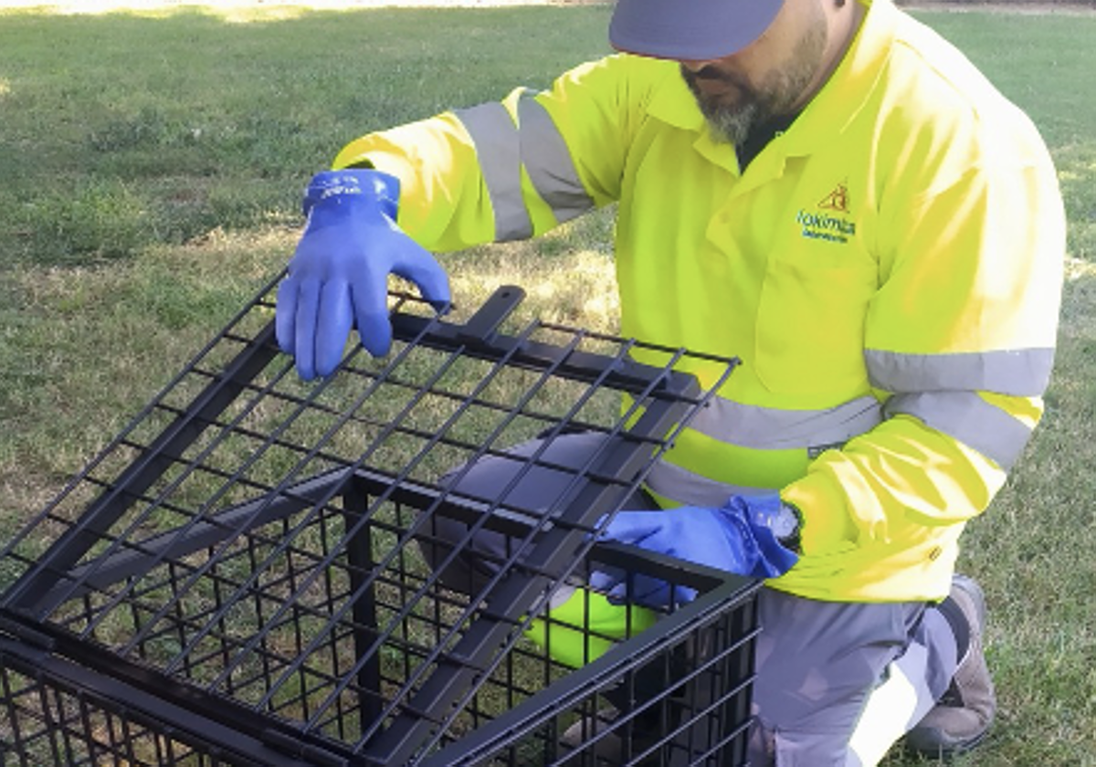 Fotos de los trabajos del nuevo sistema de detección.
