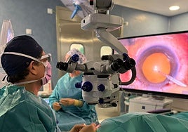 Microscopio con visualización 3D para cirugías de alta precisión.