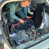Pillado en Dénia cuando pretendía embarcar rumbo a Ibiza cargado de cocaína en el maletero