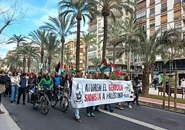Manifestación propalestina en las calles de Alicante.