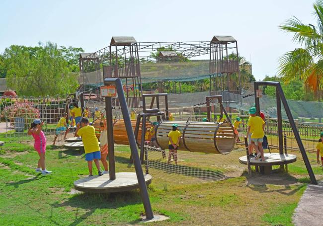 Escuela de verano de Terra Natura Benidorm.