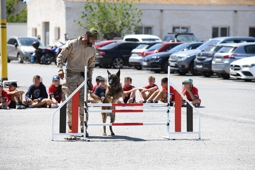 Más de un millar de alumnos de Alicante visitan el MOE de Rabasa