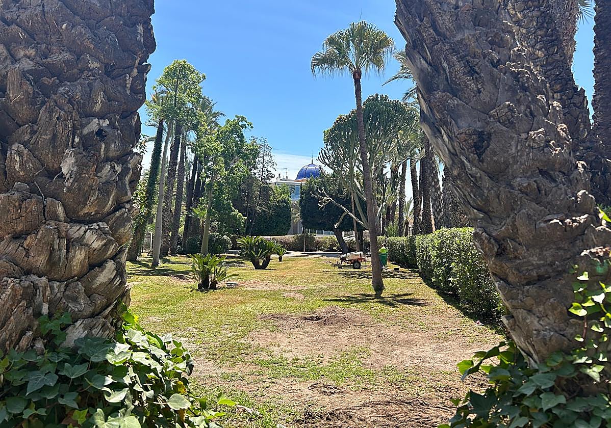 Detalles de este huerto histórico de Elche.