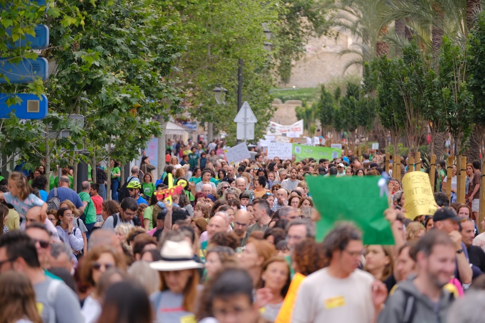 La marea verde toma Alicante en defensa de la educación pública