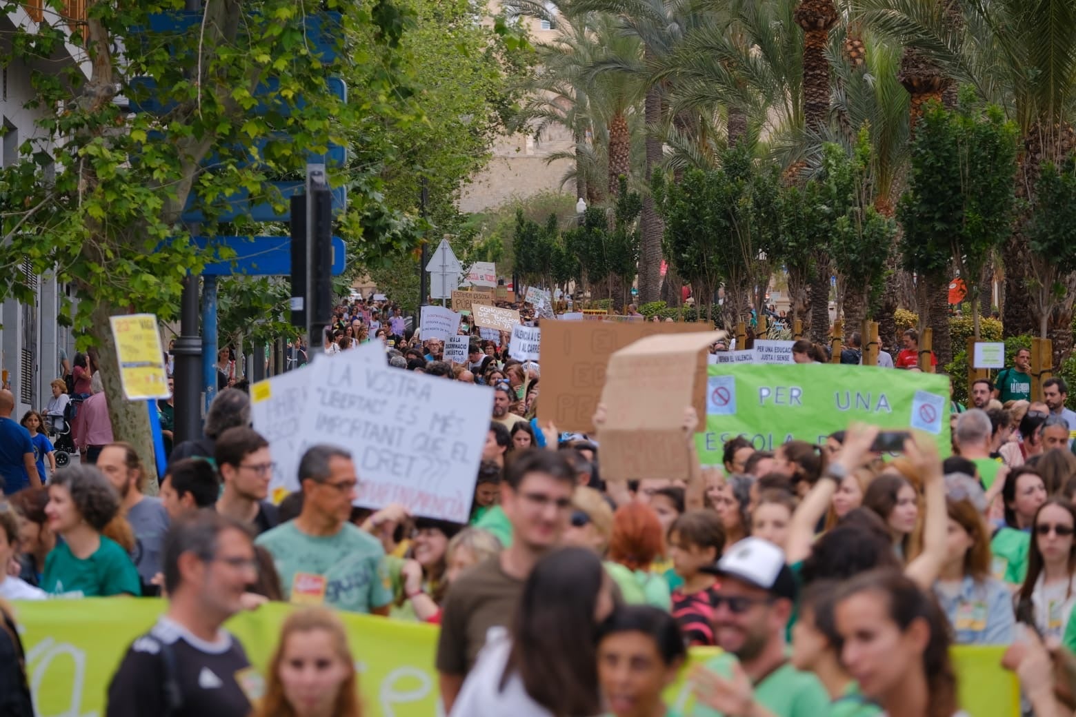 La marea verde toma Alicante en defensa de la educación pública