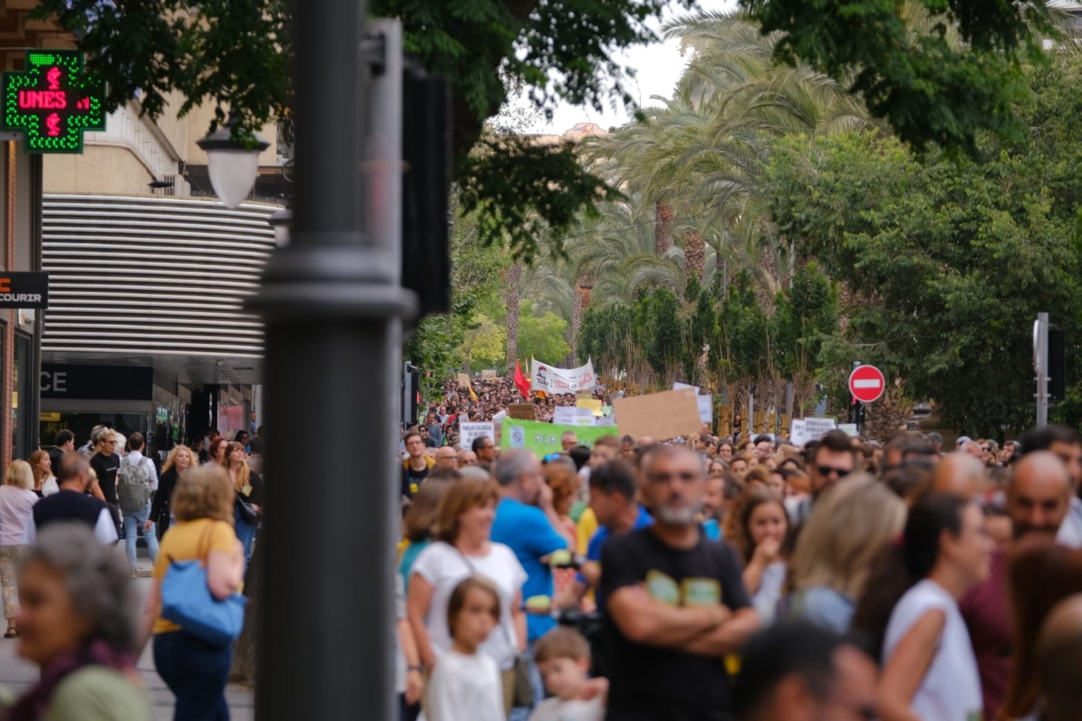 La marea verde toma Alicante en defensa de la educación pública