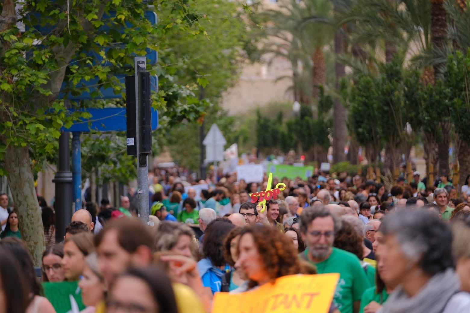 La marea verde toma Alicante en defensa de la educación pública