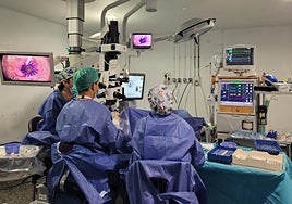 El servicio de Oftalmología del Hospital de Alcoi en plena intervención quirúrgica.