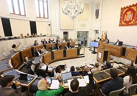 Pleno extraordinario de la Diputación de Alicante.