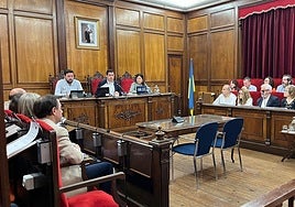 La corporación ha aprobado en pleno este viernes pedir a la Generalitat que el Alcoyano sea BIC.