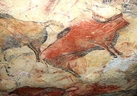 Las pinturas rupestres de la Cueva de Altamira están declaradas Patrimonio de la Humanidad por la Unesco