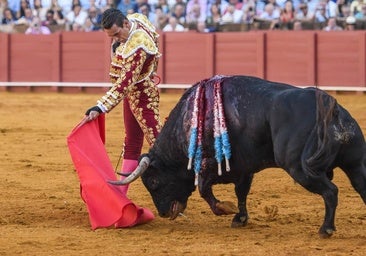 El torero José María Manzanares cancela su agenda antes de la feria de las Hogueras de Alicante