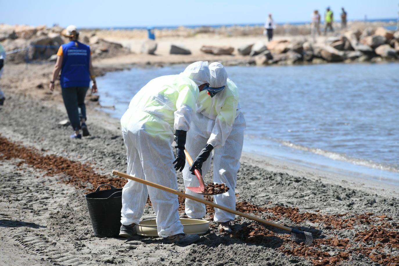 Simulacro por vertido contaminante en la playa de la Almadraba de Alicante
