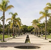 La UA incorpora a una prestigiosa universidad estadounidense a su oferta de movilidad