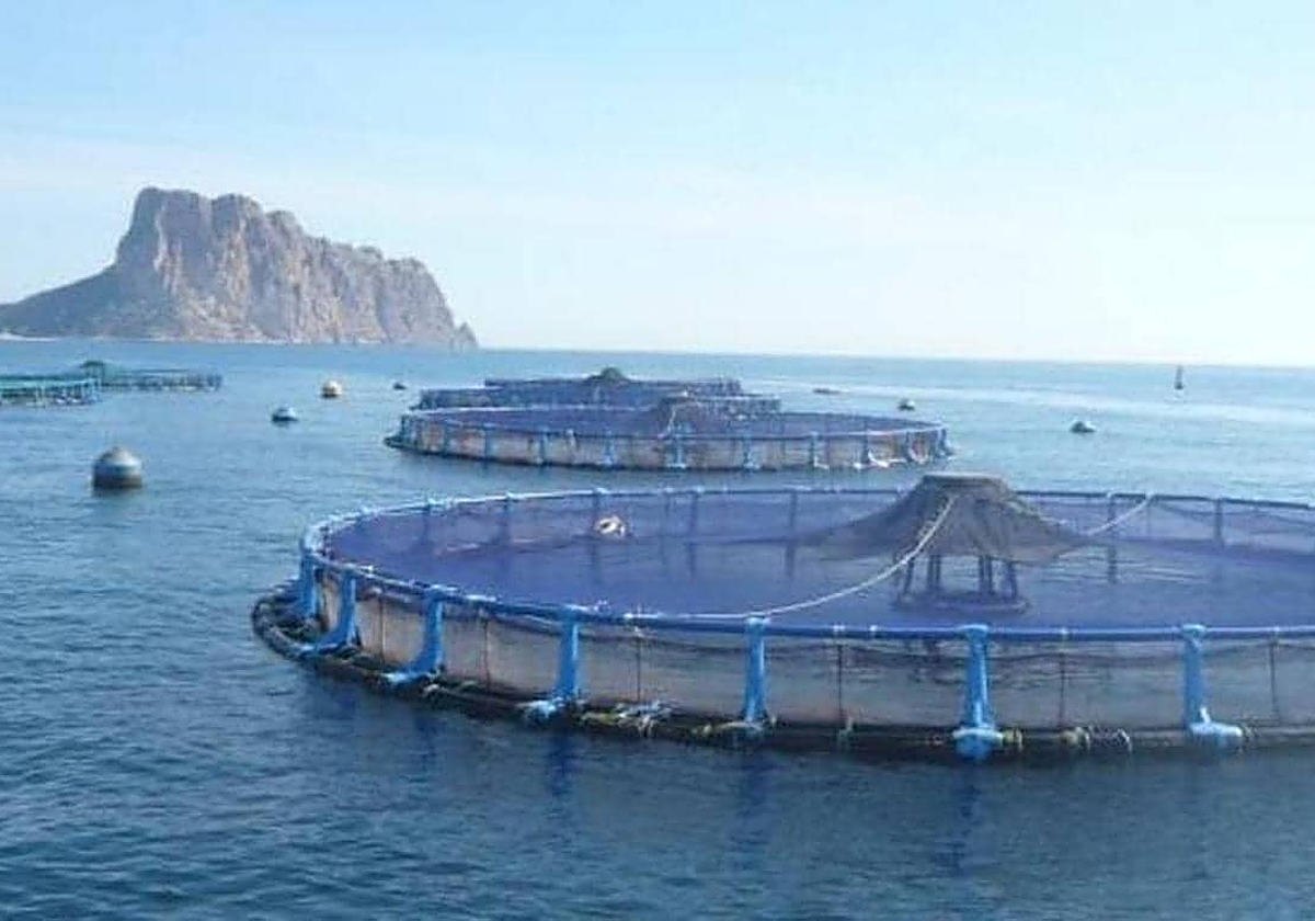 La piscifactoría que se encuentra frente al litoral de Calp.