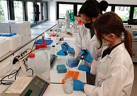 Dos investigadoras del Consejo Superior de Investigaciones Científicas.